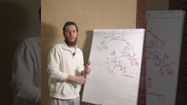 Метаболизм йода