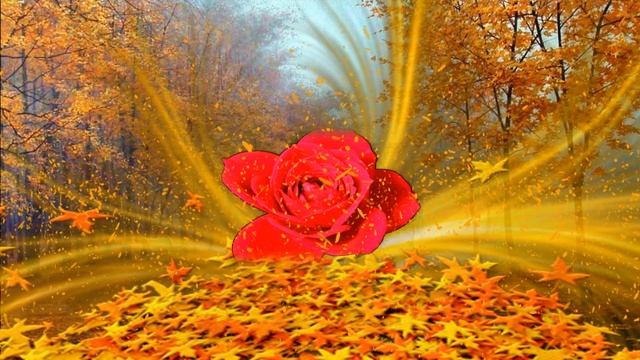 Осенний красивый футаж для поздравлений!!! Бесплатно!!! смотреть онлайн