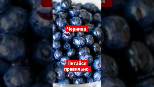 ягодка черника #здоровоепитание #питайсяправильно смотреть онлайн