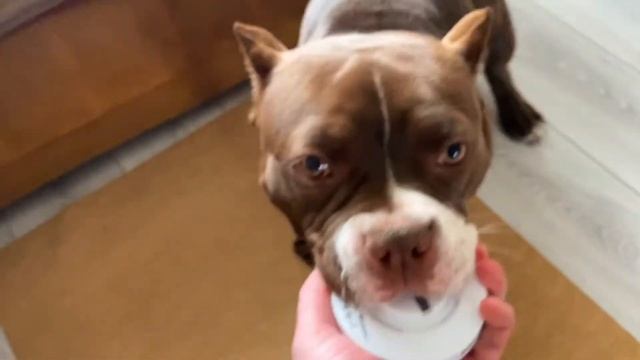 Микрофон Stelberry M-200HD. Не отдам... смотреть онлайн