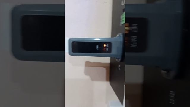 29 января 2024 г.