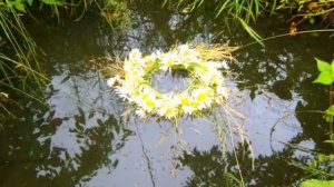 Владимир Мигуля - Почему не ведаю