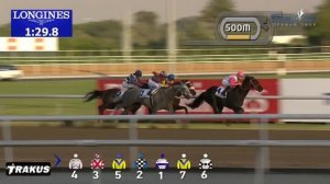 Скачки в Дубае Dubai World Cup 2016