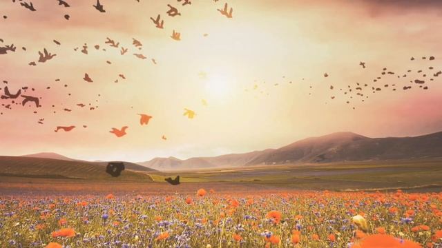 * Your are not alone Song* Tango to Evora Remix смотреть онлайн