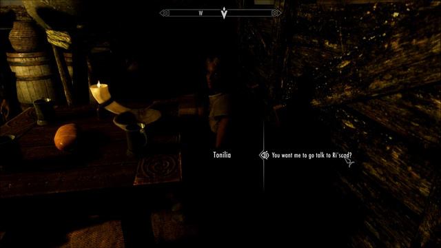 Let's Play Skyrim : The Argonian Assassin 212, The New Leader смотреть онлайн