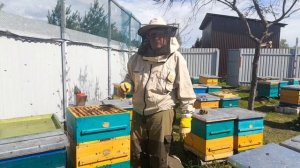 НАЧАЛО ВЫВОДА СУПЕР МАТОК С ПОМОЩЬЮ ДИАФРАГМЫ ДЮКАРЕВЫХ.