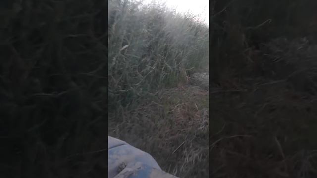 Пресс подборщик "КИРГИЗСТАН" смотреть онлайн