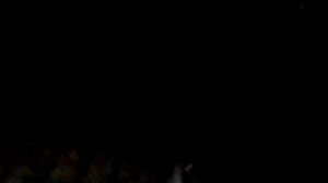 Рвотный рефлекс у поросят,в чем причина?видео 9.