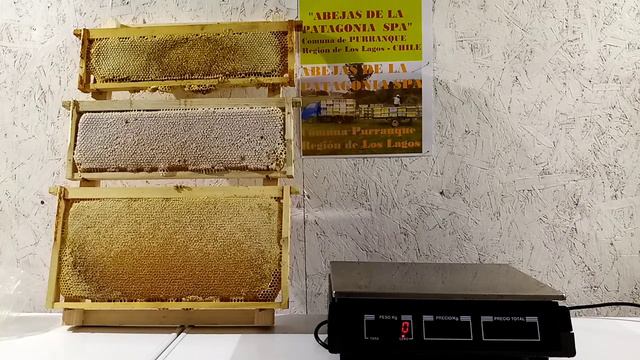 PESOS DE LOS PANALES CON MIEL смотреть онлайн