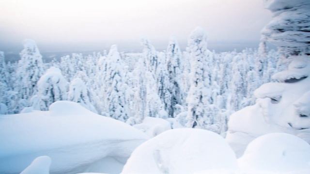 YouKids, обучение видеосъемке, монтажу детей (снято на BMPCC6K)