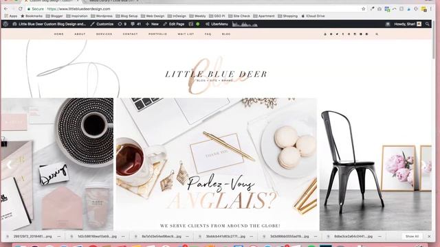 An Introduction to the Wordpress Dashboard смотреть онлайн