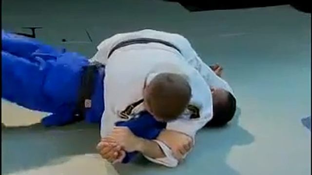 MIKE SWAIN COMPLETE JUDO VOLUMEN 2