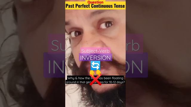 Past Perfect Continuous Tense: Interrogative Sentence #LearnEnglish смотреть онлайн