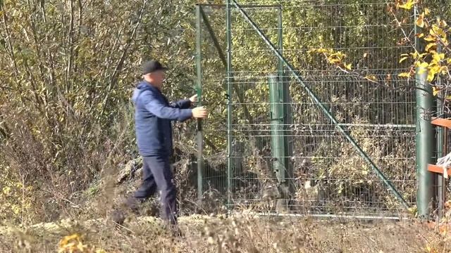В Кузнецке завершается ремонт здания под приют для безнадзорных животных. Сентябрь 2021 год смотреть онлайн