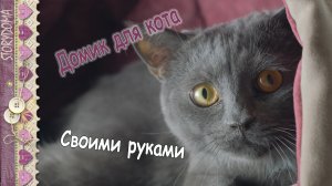 Домик для кота своими руками - лежанка для кота пошагово из подручных материалов