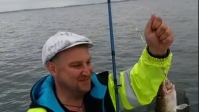 Ловим форель. Рыбалка на Балтийском море. смотреть онлайн