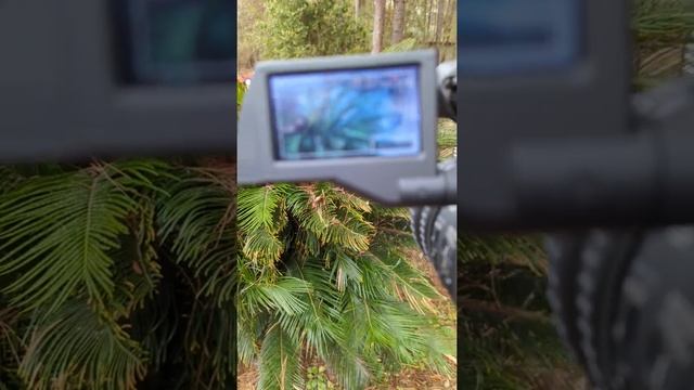 Canon XH A1S Demonstration