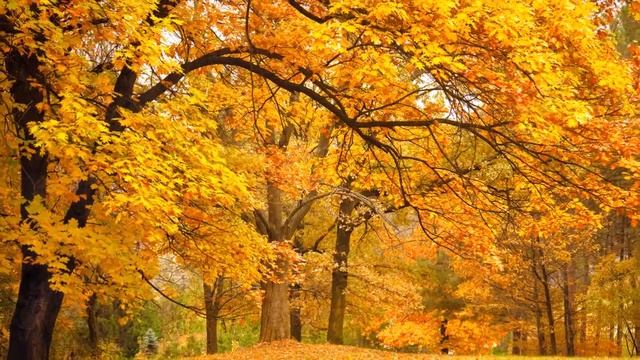 Екатерина Гусева А годы летят смотреть онлайн