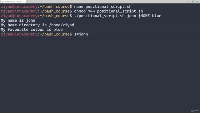 2. Positional Parameters смотреть онлайн