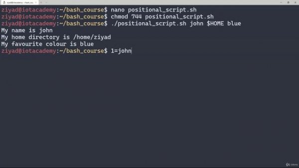 2. Positional Parameters