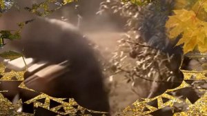 Олег Митяев В осеннем парке