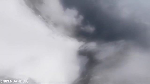 ТЮЛЕНЬ УДАРИЛ ЧЕЛОВЕКА ОСЬМИНОГОМ. смотреть онлайн