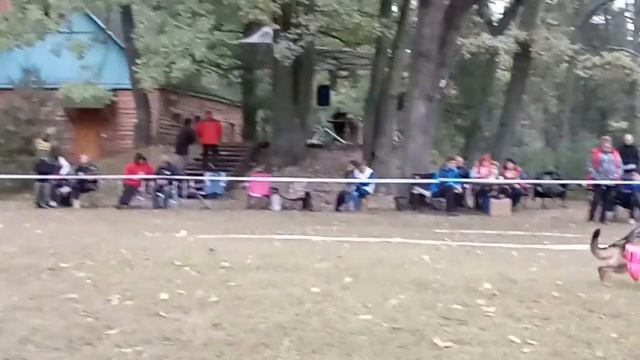 Суки №130 Avrora Cuore Del Drago смотреть онлайн