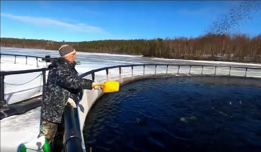 ВНИРО и ТВЕРСКОЙ МЕЛЬКОМБИНАТ.Интеграция науки и производства смотреть онлайн