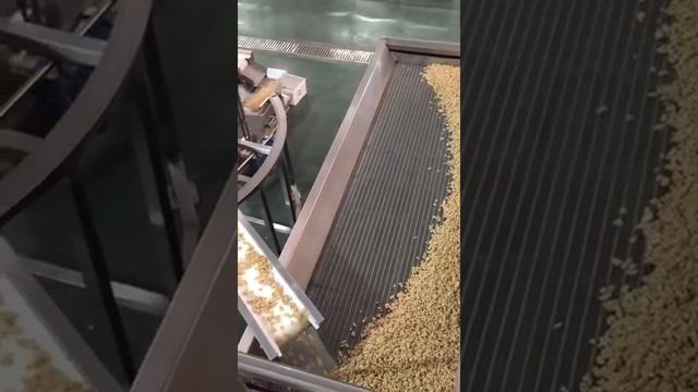 Оборудование для соления и жарки арахиса: P.F.M.G.-компани. смотреть онлайн