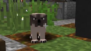 БРОДЯЧИЙ ПЕС СБЕЖАЛ ИЗ ДОМА В МАЙНКРАФТ! ЖИЗНЬ ЖИВОТНЫХ В MINECRAFT!