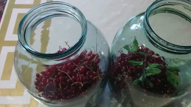 КОМПОТ ИЗ КРАСНОЙ СМОРОДИНЫ смотреть онлайн