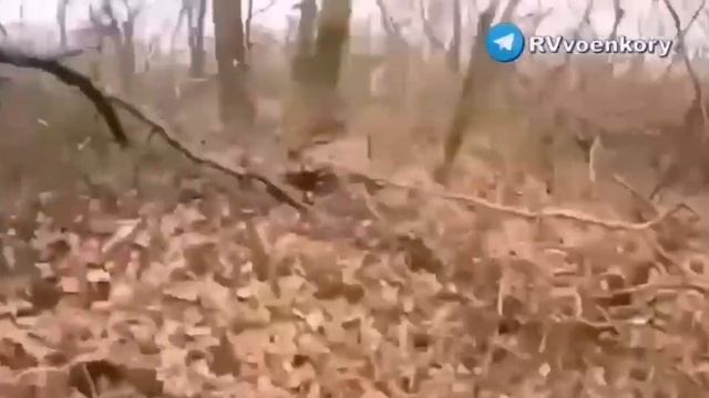 Позвал чушку – теперь удобряет чернозём смотреть онлайн