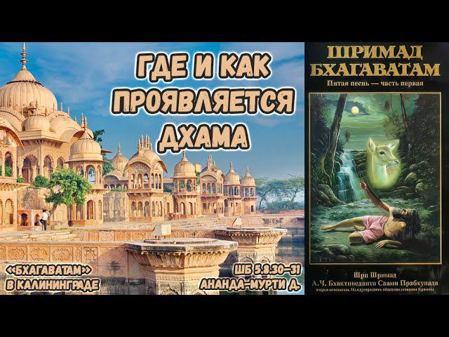 Где и как проявляется дхама. Ананда-мурти д. ШБ.5.8.30–31