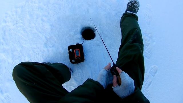 НЕ ОЖИДАЛ,ЧТО В КОНЦЕ РЫБАЛКИ КЛЮНЕТ ОН/Открытие зимнего сезона 2022-2023/Рыбалка на окуня смотреть онлайн