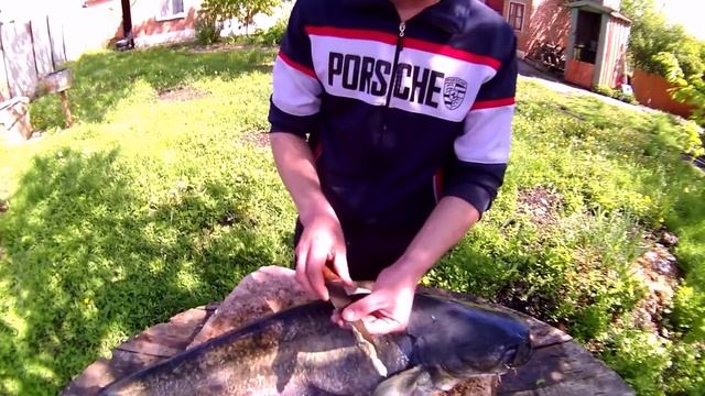 КАК ПРАВИЛЬНО РАЗДЕЛАТЬ СОМА СОВЕТЫ БЫВАЛЫХ смотреть онлайн