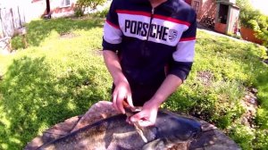 КАК ПРАВИЛЬНО РАЗДЕЛАТЬ СОМА СОВЕТЫ БЫВАЛЫХ