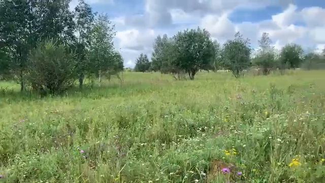 ЗУ д. Редино 195760 смотреть онлайн