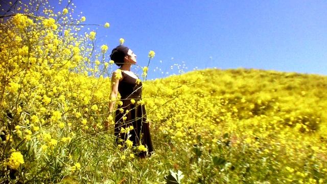 Yerevan Erebuni- Cover смотреть онлайн