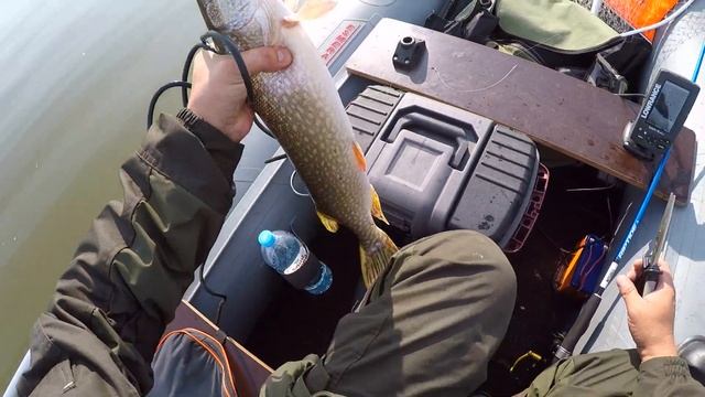 Троллинговое удилище Mitchell Riptide Boat Обзор и тест на воде. смотреть онлайн