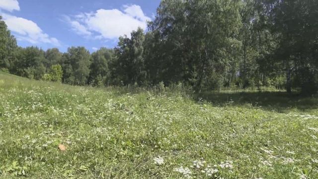 4к лес (Тест сьемка 4к на камеру sony x3000 FDR ) при ходьбе смотреть онлайн