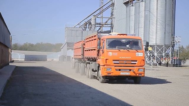 Ревизия ГСМ / Грузоперевозки / Сезон рассадного лука в АСБ смотреть онлайн