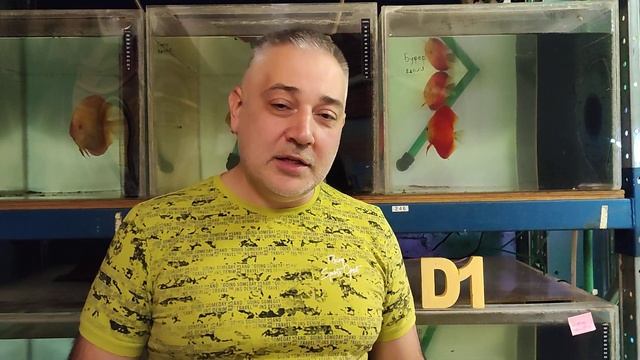 RGD - РЕД ГОЛД ДАЙМОНД #ВСЕоДИСКУСАХ