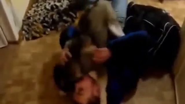 Копия видео "Вот почему собаку называют другом человека" смотреть онлайн
