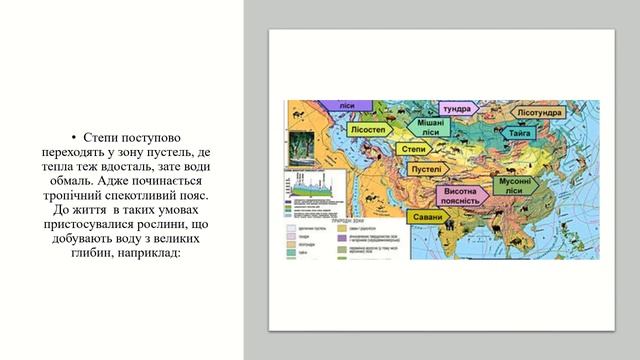 Урок 38. У чому виявляються особливості рослинного і тваринного світу Європи й Азії? смотреть онлайн