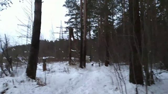 Углич сосновый бор смотреть онлайн