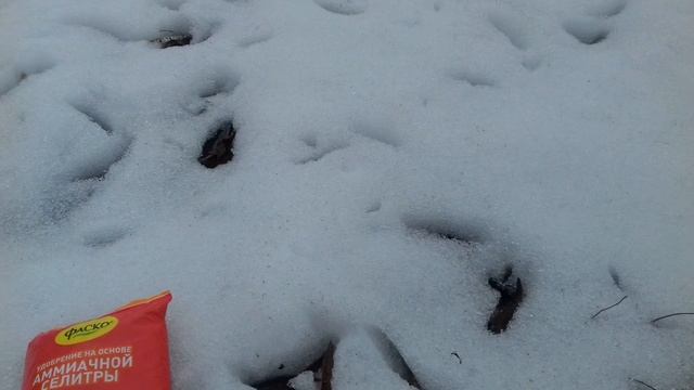 КАКИЕ УДОБРЕНИЯ РАЗБРАСЫВАЕМ ПО СНЕГУ ВЕСНОЙ. НЕ УПУСТИТЕ ВАЖНУЮ ПОДКОРМКУ ПОЧВЫ.. смотреть онлайн