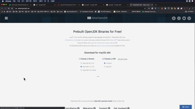 AdoptOpenJdk 쓰세요 смотреть онлайн