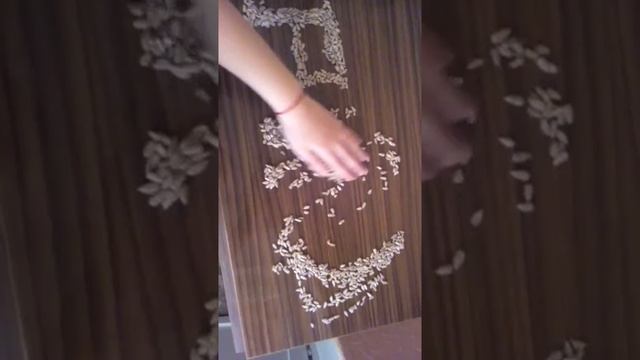 Фокус:Имя Рита смотреть онлайн