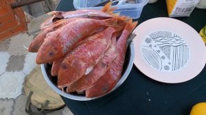Выходные в Кирилловке.Жарим барабульку и журавку.