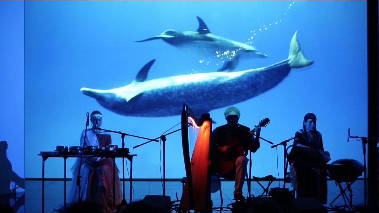 Dolphin Embassy /Alizbar /Ann'Sannat /Elven Music Folk Song /Эльфийская народная песня / Quenya